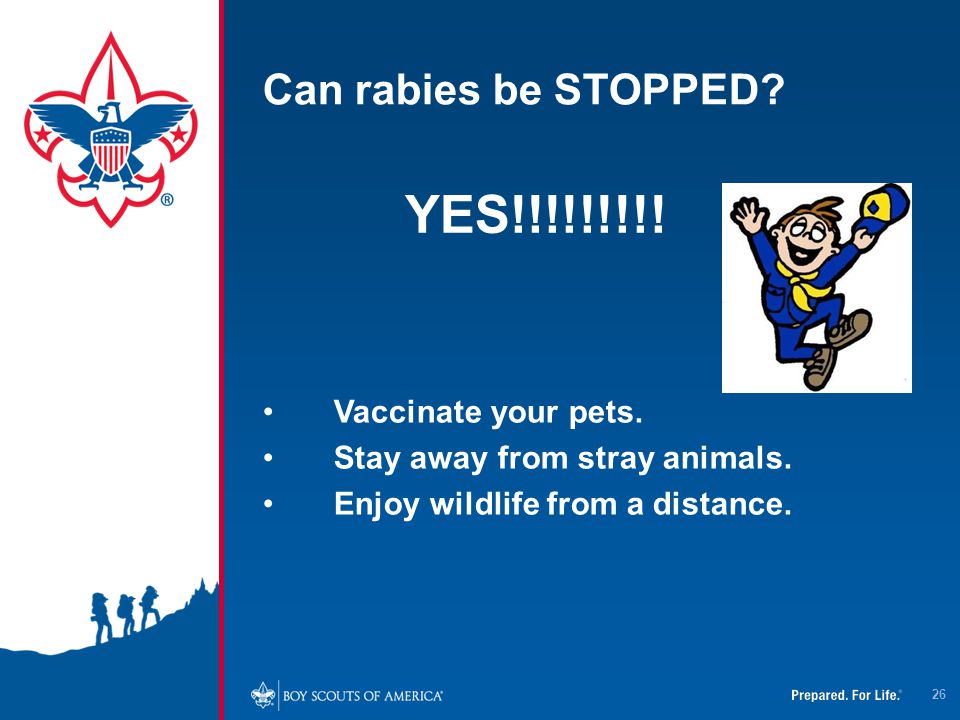 YES!!!!!!!!! Can rabies be STOPPED Vaccinate your pets.