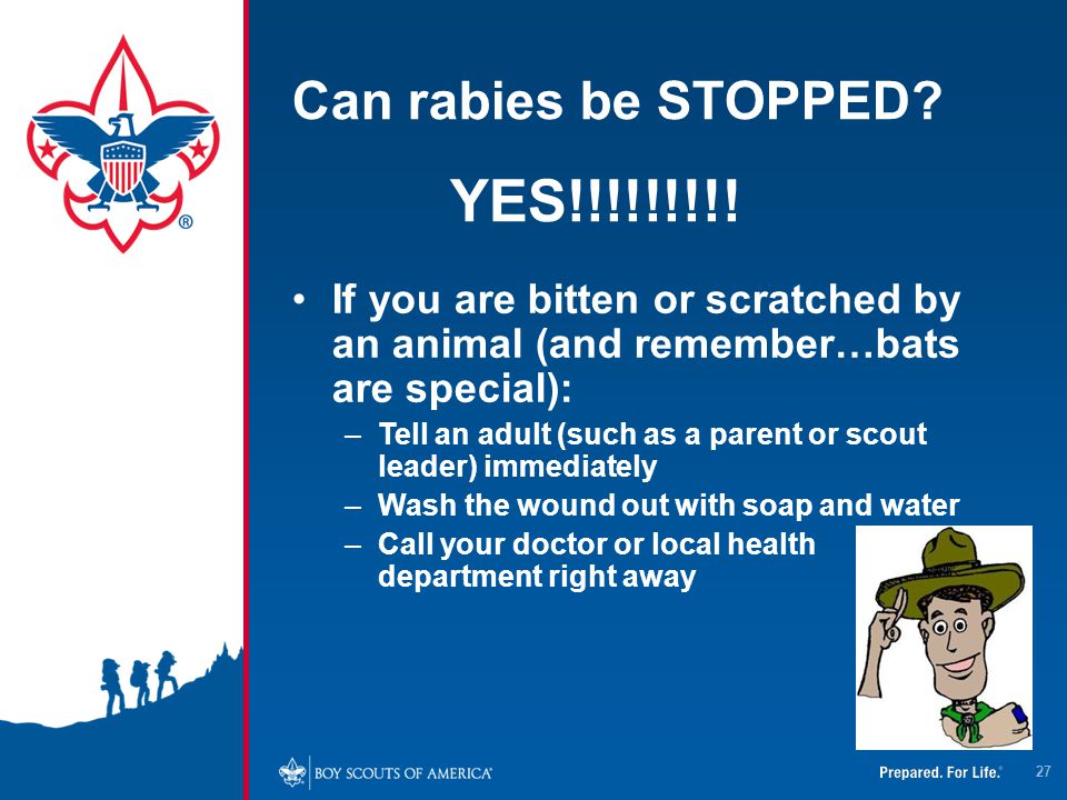 YES!!!!!!!!! Can rabies be STOPPED