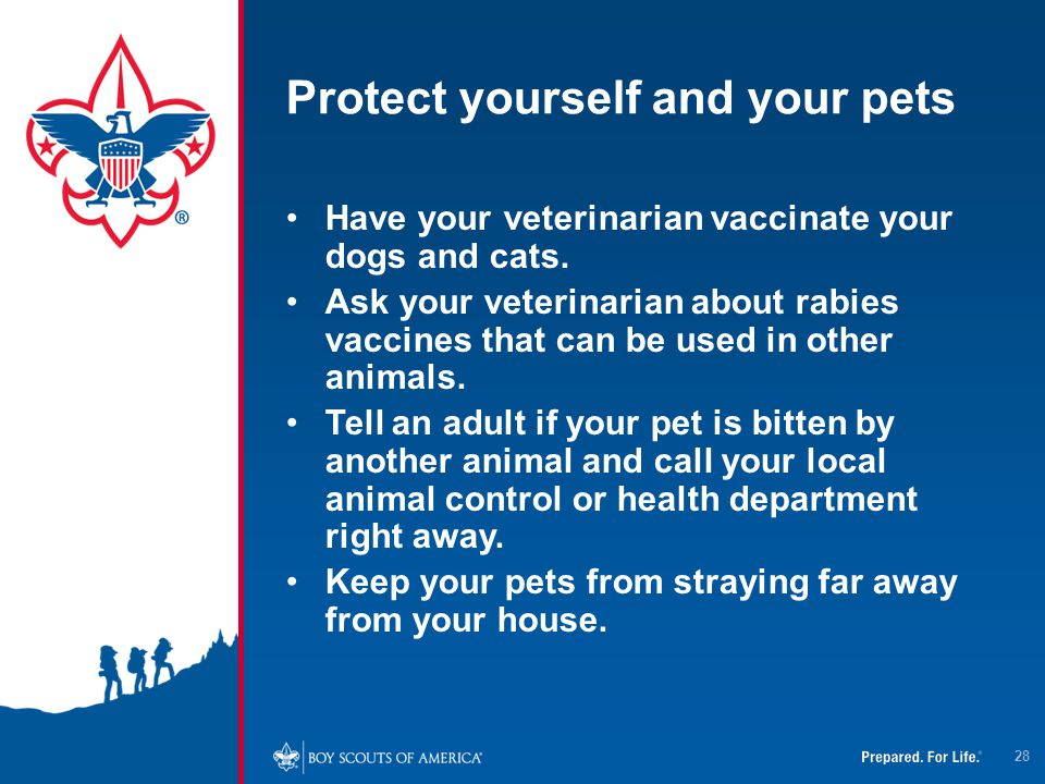 Protect yourself and your pets