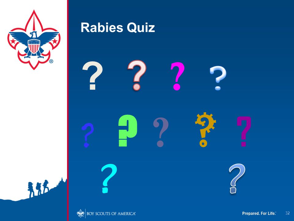 Rabies Quiz