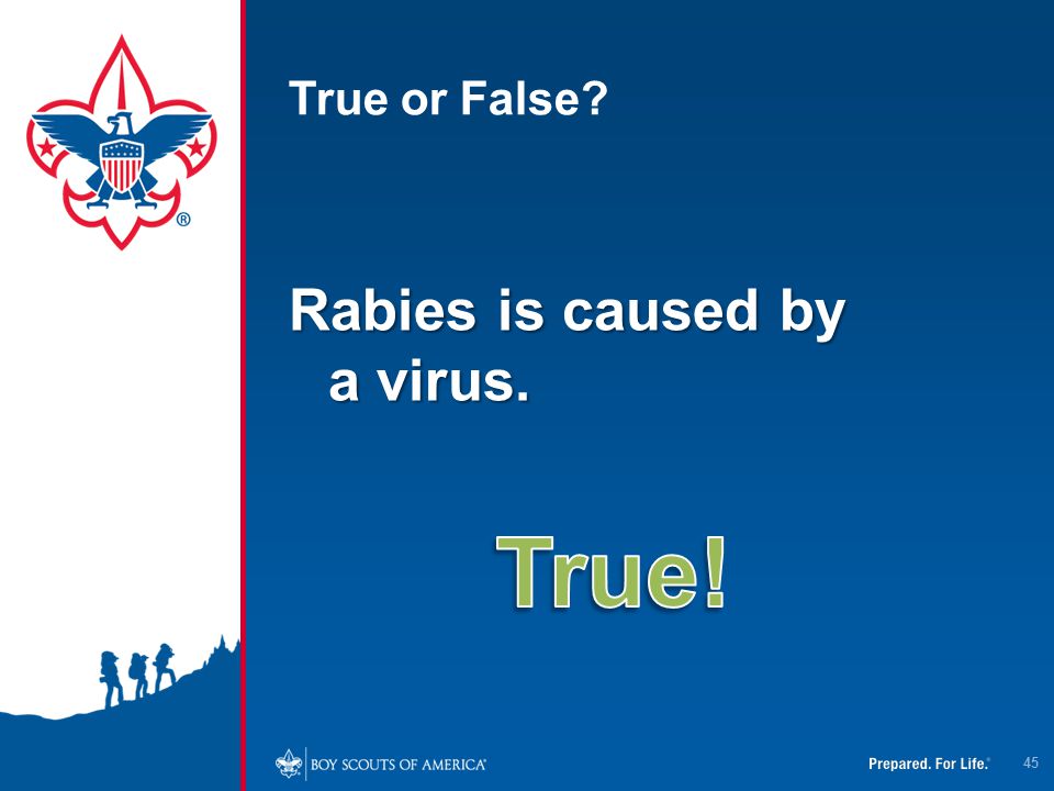 True or False Rabies is caused by a virus. True!