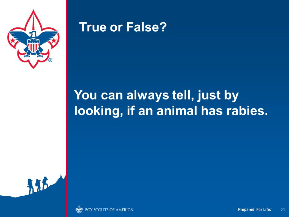 True or False You can always tell, just by looking, if an animal has rabies.