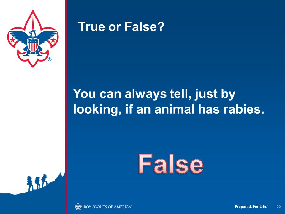 True or False You can always tell, just by looking, if an animal has rabies. False