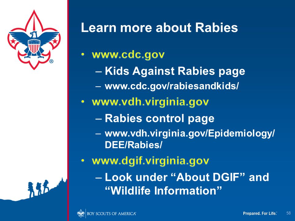 Learn more about Rabies