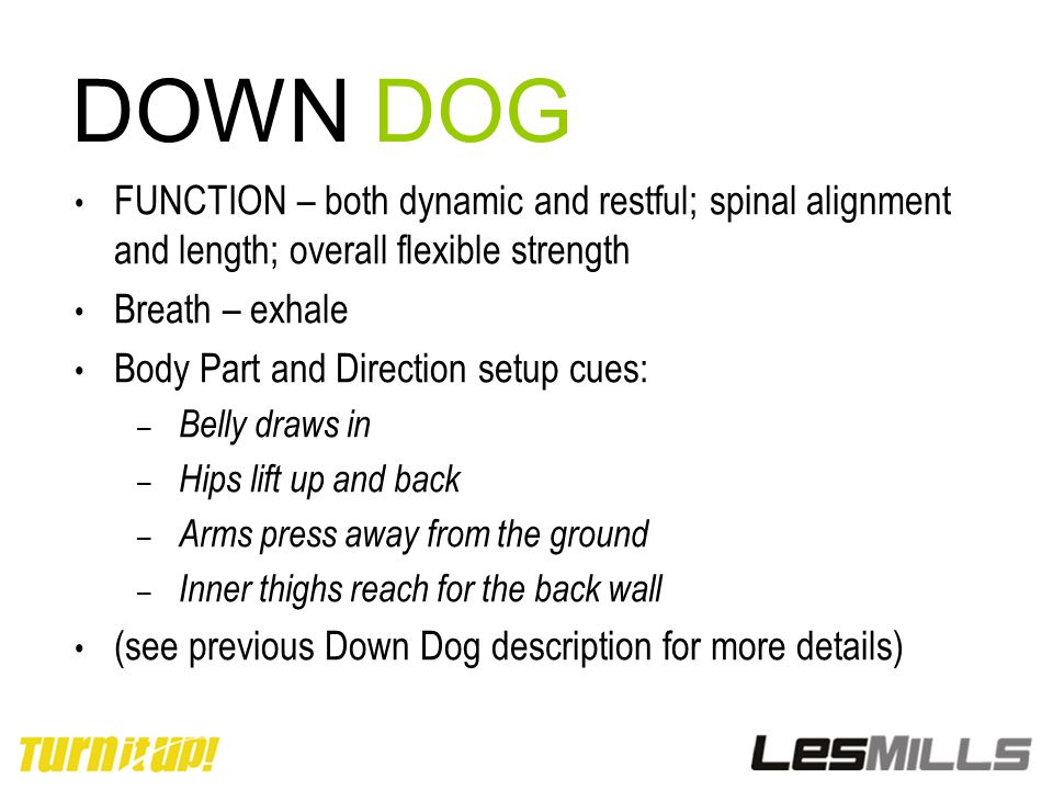 DOWN DOG FUNCTION – both dynamic and restful; spinal alignment and length; overall flexible strength.