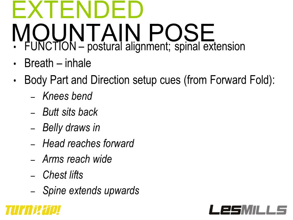 EXTENDED MOUNTAIN POSE