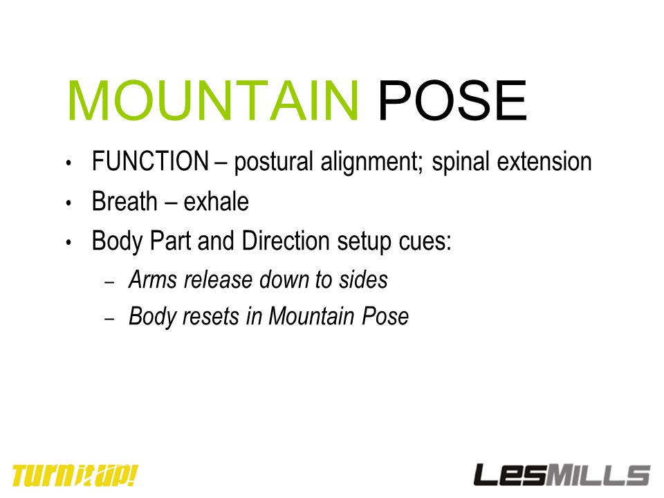 MOUNTAIN POSE FUNCTION – postural alignment; spinal extension