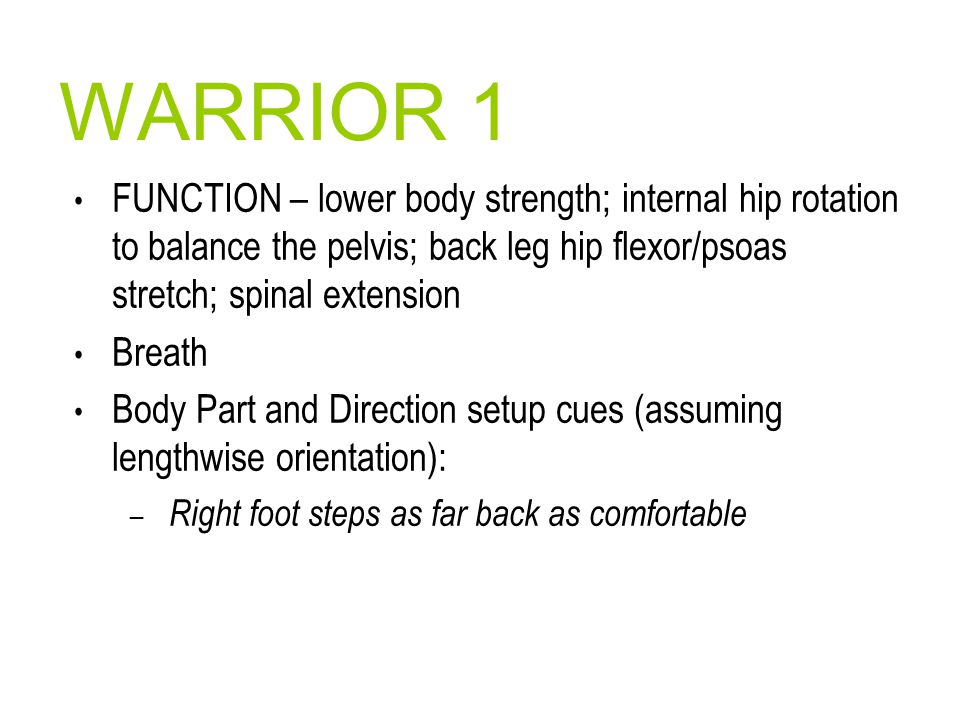 WARRIOR 1 FUNCTION – lower body strength; internal hip rotation to balance the pelvis; back leg hip flexor/psoas stretch; spinal extension.