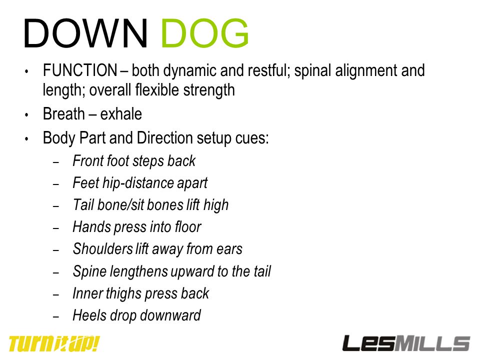 DOWN DOG FUNCTION – both dynamic and restful; spinal alignment and length; overall flexible strength.