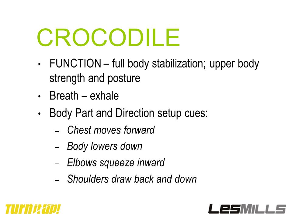 CROCODILE FUNCTION – full body stabilization; upper body strength and posture. Breath – exhale. Body Part and Direction setup cues:
