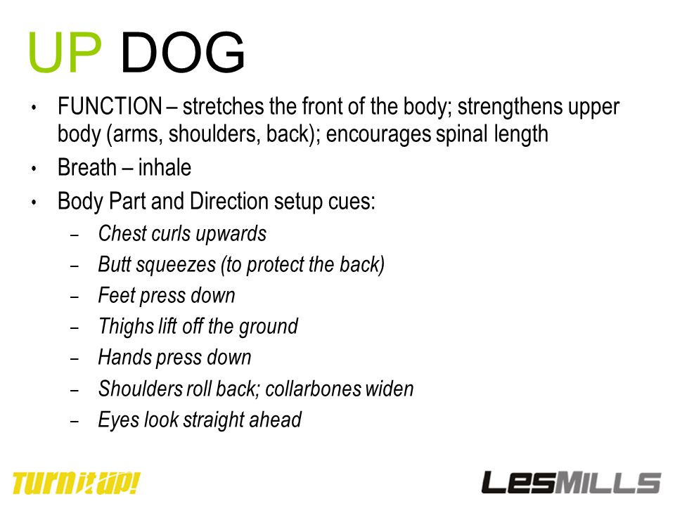UP DOG FUNCTION – stretches the front of the body; strengthens upper body (arms, shoulders, back); encourages spinal length.