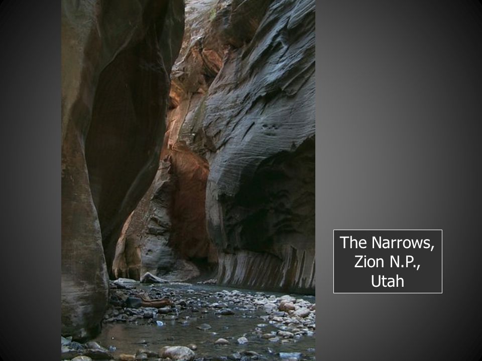 The Narrows, Zion N.P., Utah