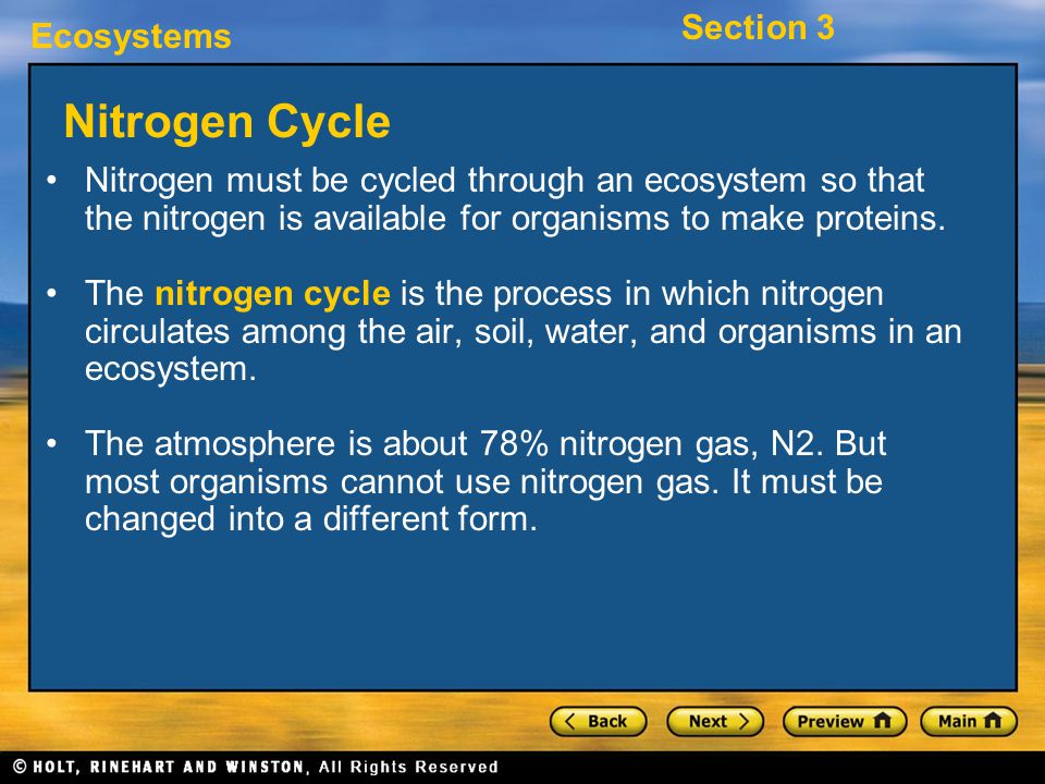 Nitrogen Cycle Nitrogen must be cycled through an ecosystem so that the nitrogen is available for organisms to make proteins.