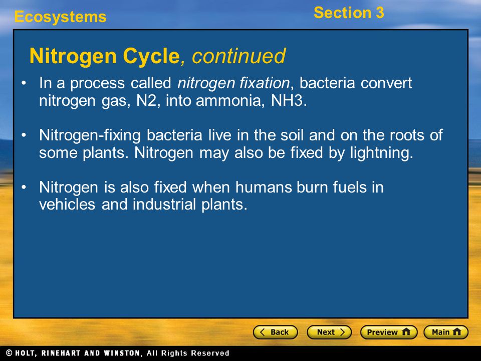 Nitrogen Cycle, continued