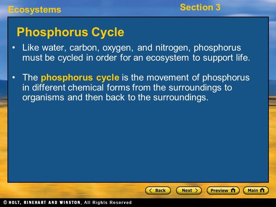 Phosphorus Cycle Like water, carbon, oxygen, and nitrogen, phosphorus must be cycled in order for an ecosystem to support life.