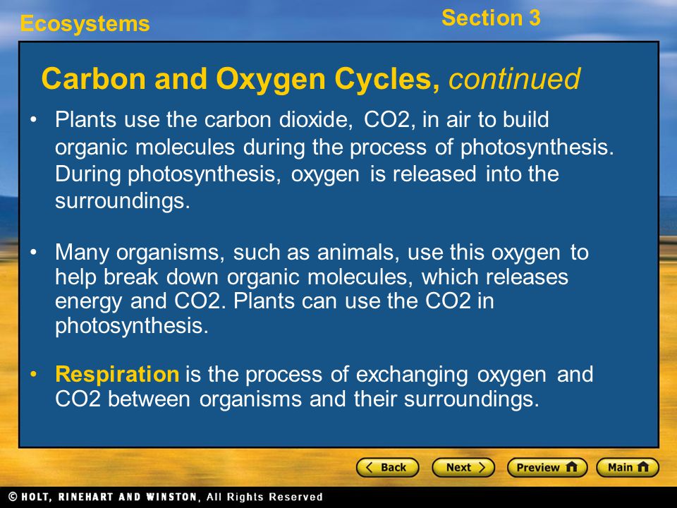 Carbon and Oxygen Cycles, continued