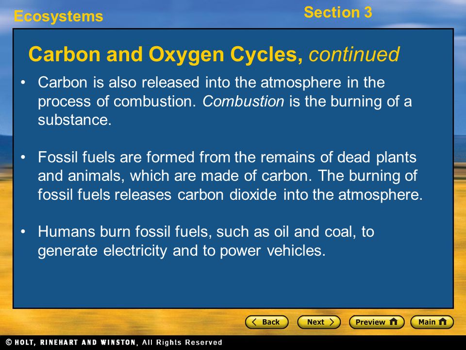 Carbon and Oxygen Cycles, continued