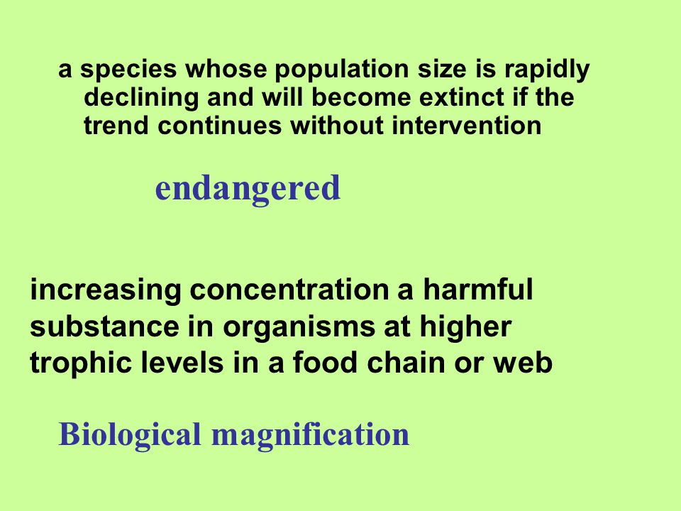 endangered Biological magnification increasing concentration a harmful