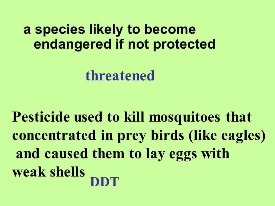 Pesticide used to kill mosquitoes that