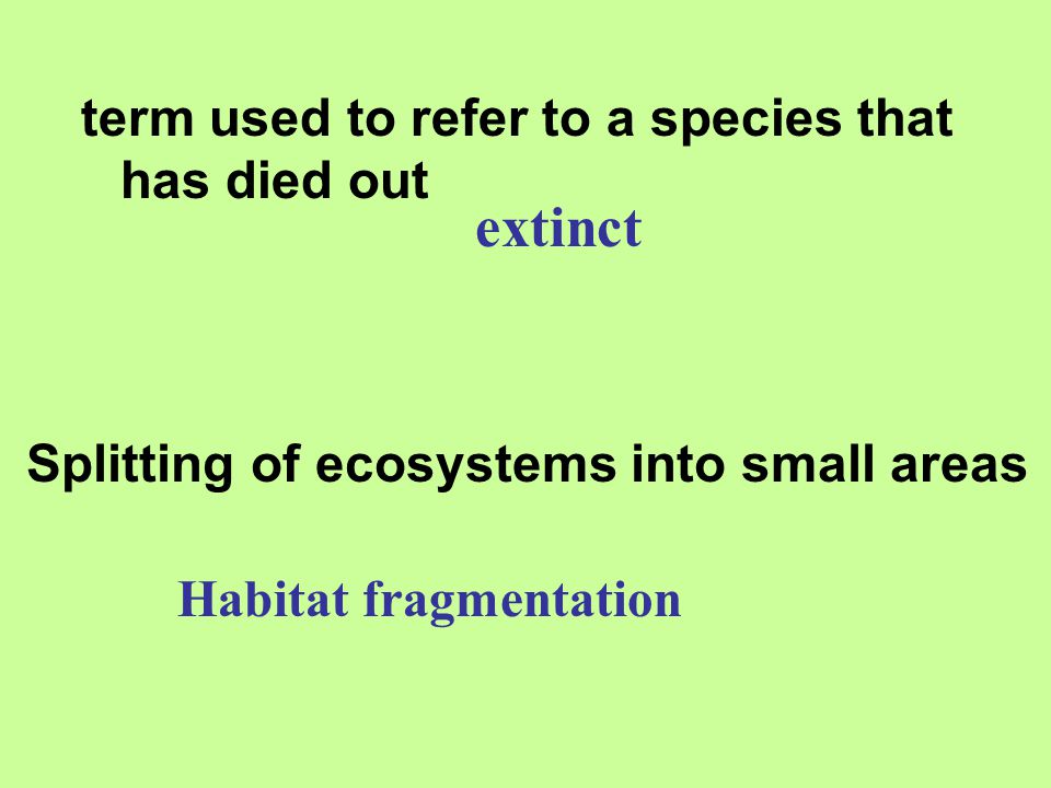 extinct term used to refer to a species that has died out