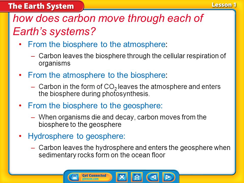 how does carbon move through each of Earth’s systems