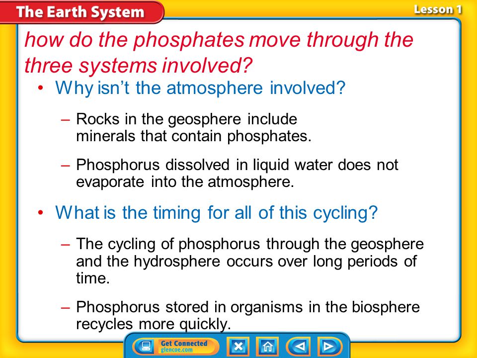 how do the phosphates move through the three systems involved