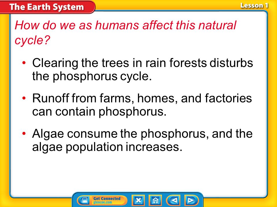 How do we as humans affect this natural cycle