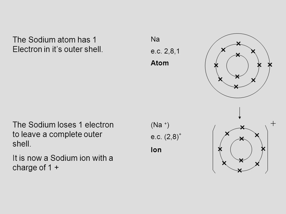 + The Sodium atom has 1 Electron in it’s outer shell.