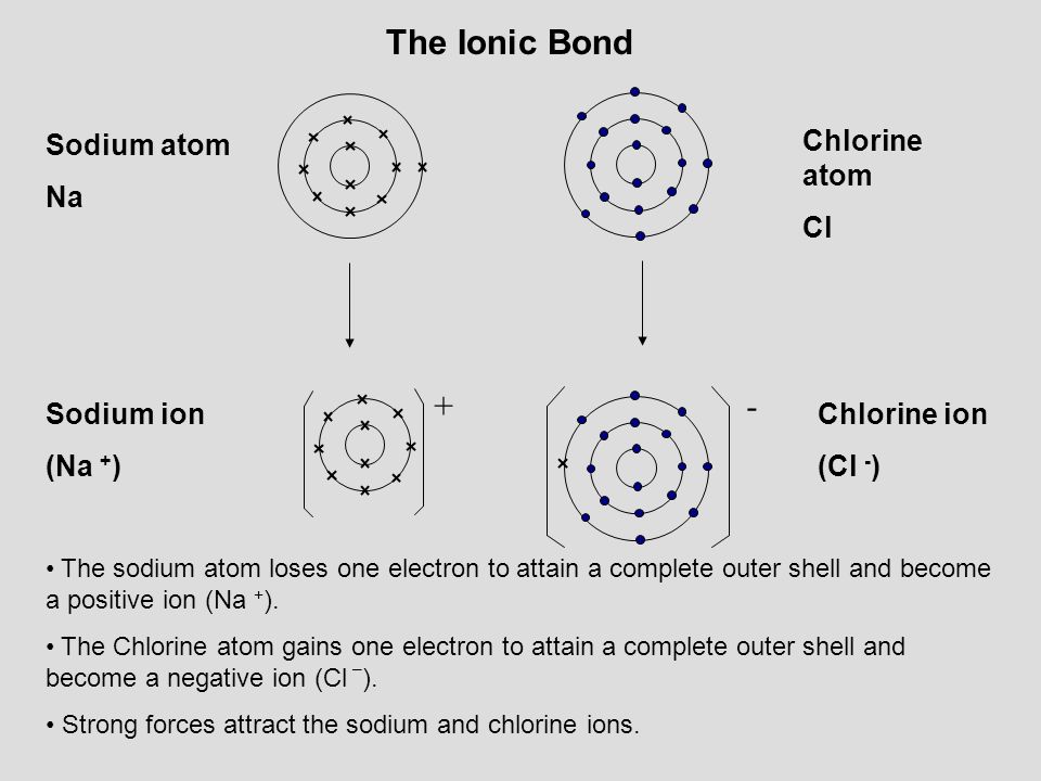 The Ionic Bond + - Sodium atom Na Chlorine atom Cl Sodium ion (Na +)