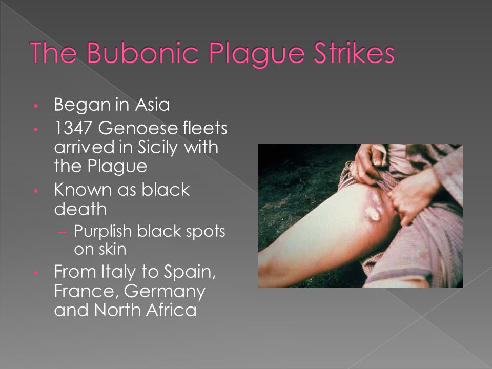 The Bubonic Plague Strikes