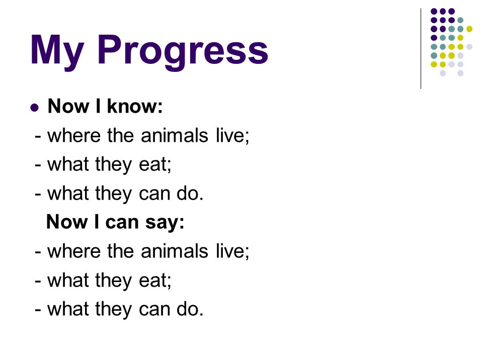 My Progress Now I know: - where the animals live; - what they eat;