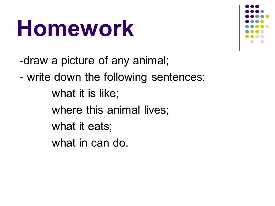 Homework -draw a picture of any animal;