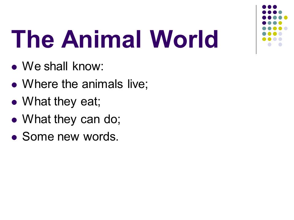 The Animal World We shall know: Where the animals live; What they eat;