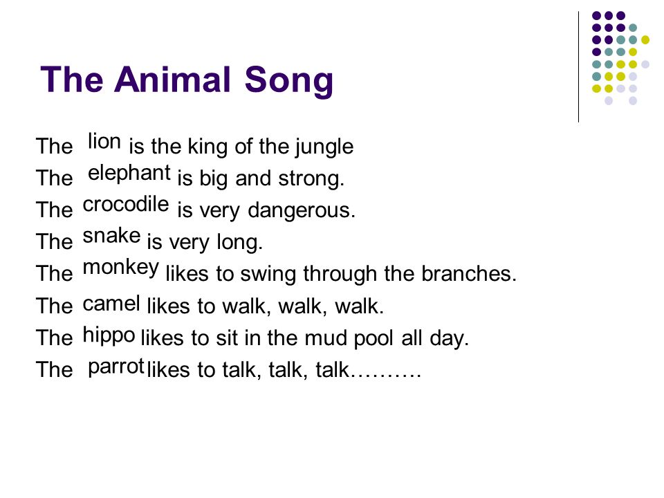 The Animal Song lion The is the king of the jungle