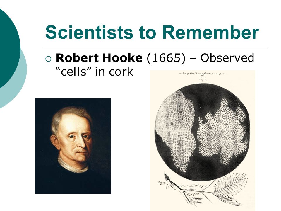 Scientists to Remember