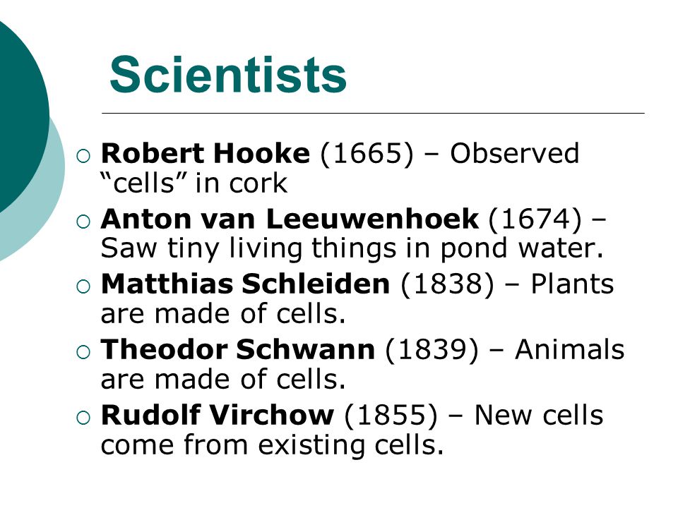 Scientists Robert Hooke (1665) – Observed cells in cork