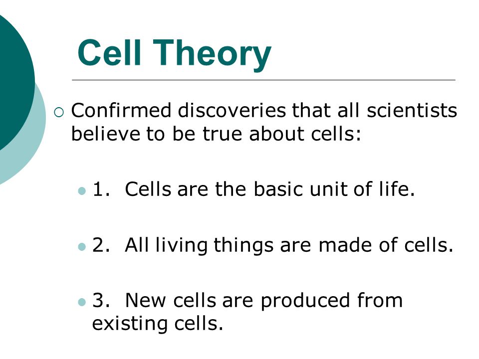 Cell Theory Confirmed discoveries that all scientists believe to be true about cells: 1. Cells are the basic unit of life.
