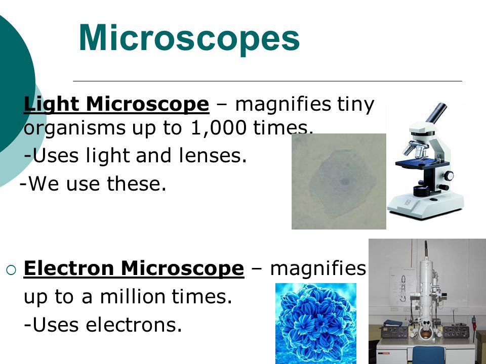 Microscopes Light Microscope – magnifies tiny organisms up to 1,000 times. -Uses light and lenses.