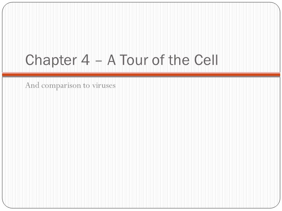 Chapter 4 – A Tour of the Cell