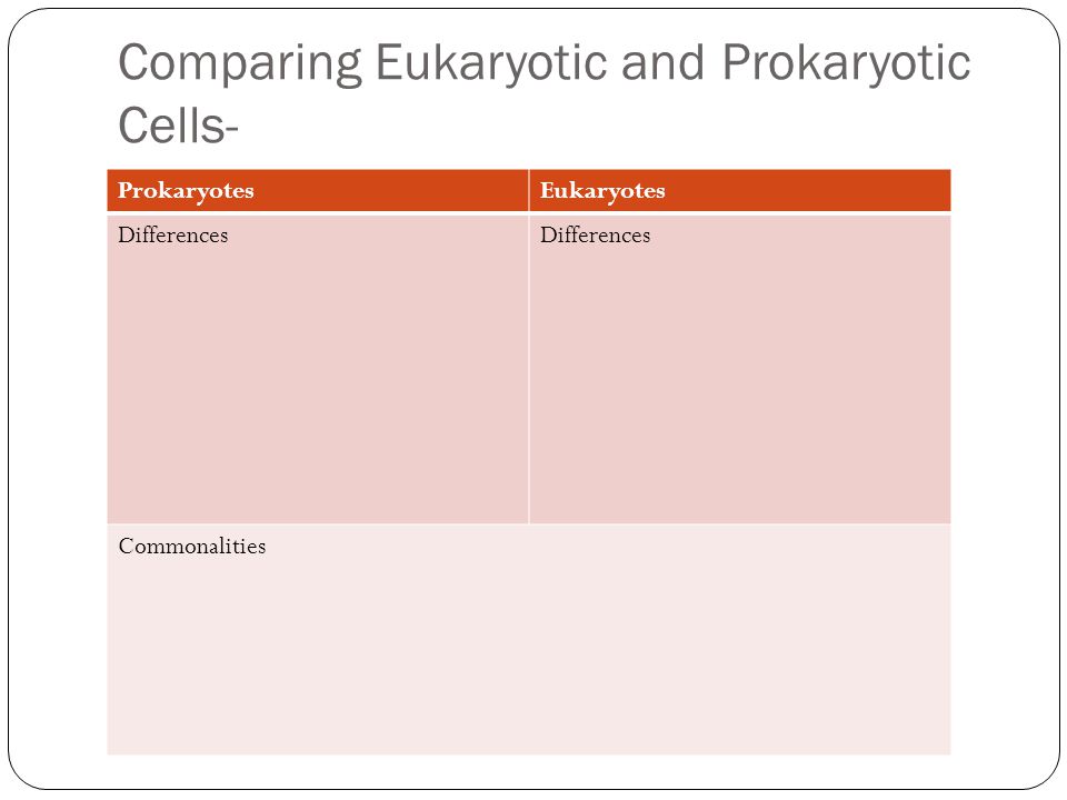 Comparing Eukaryotic and Prokaryotic Cells-