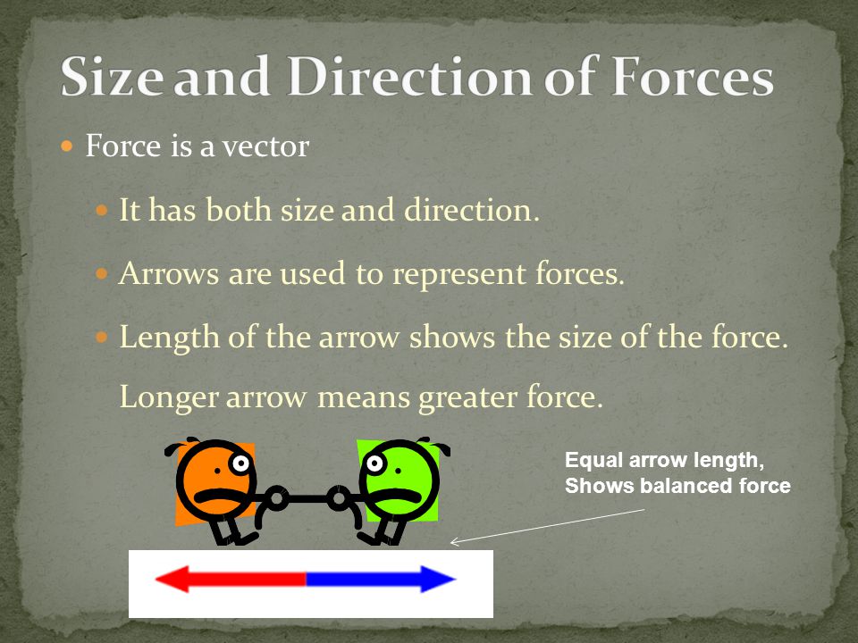 Size and Direction of Forces