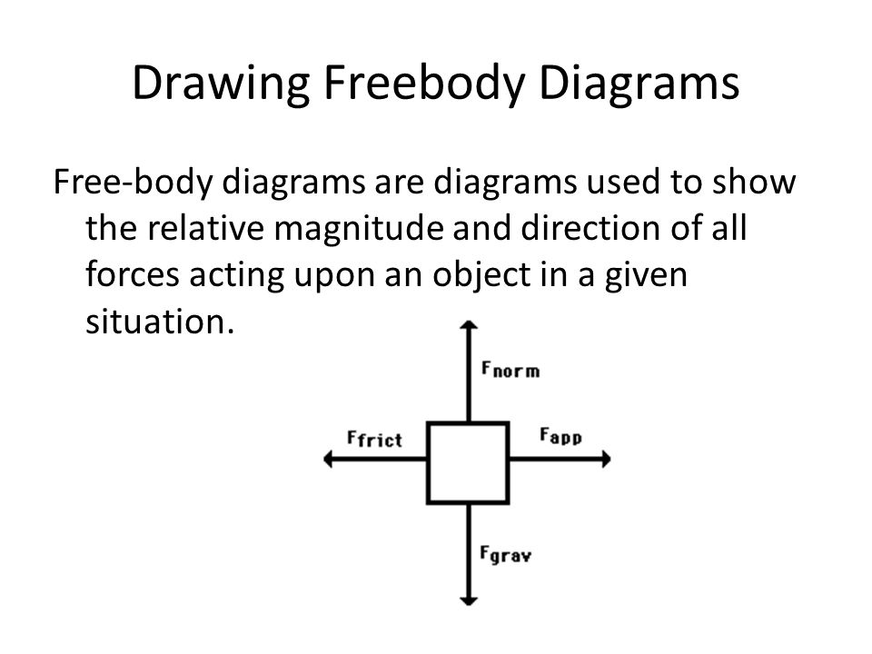 Drawing Freebody Diagrams