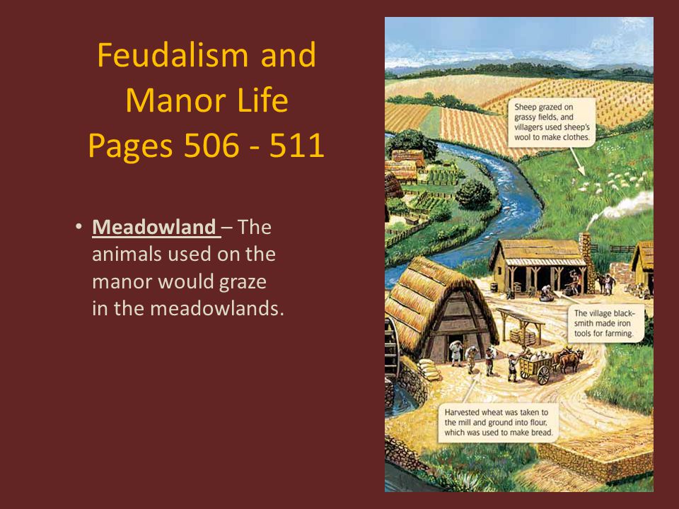 Feudalism and Manor Life Pages