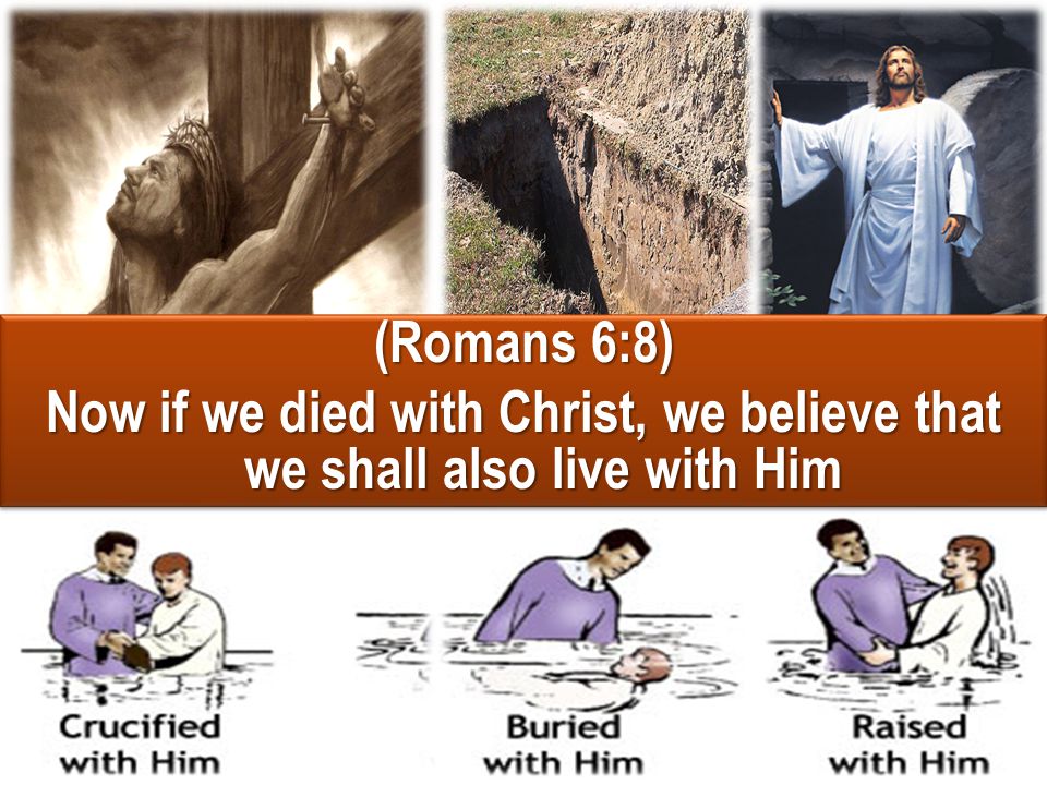 (Romans 6:8) Now if we died with Christ, we believe that we shall also live with Him