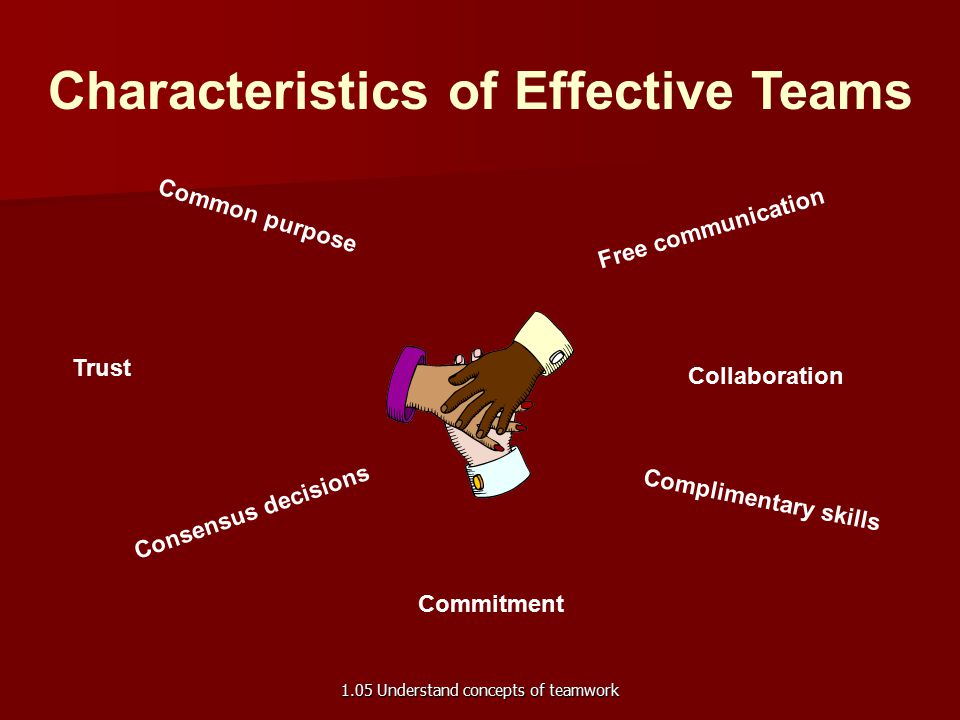 Characteristics of Effective Teams