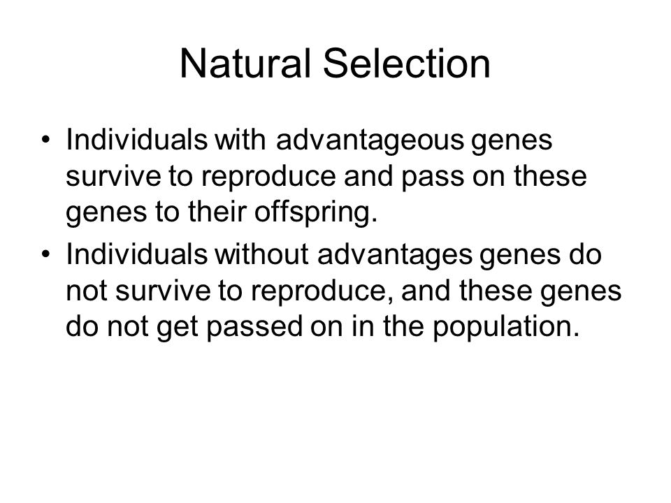 Natural Selection Individuals with advantageous genes survive to reproduce and pass on these genes to their offspring.