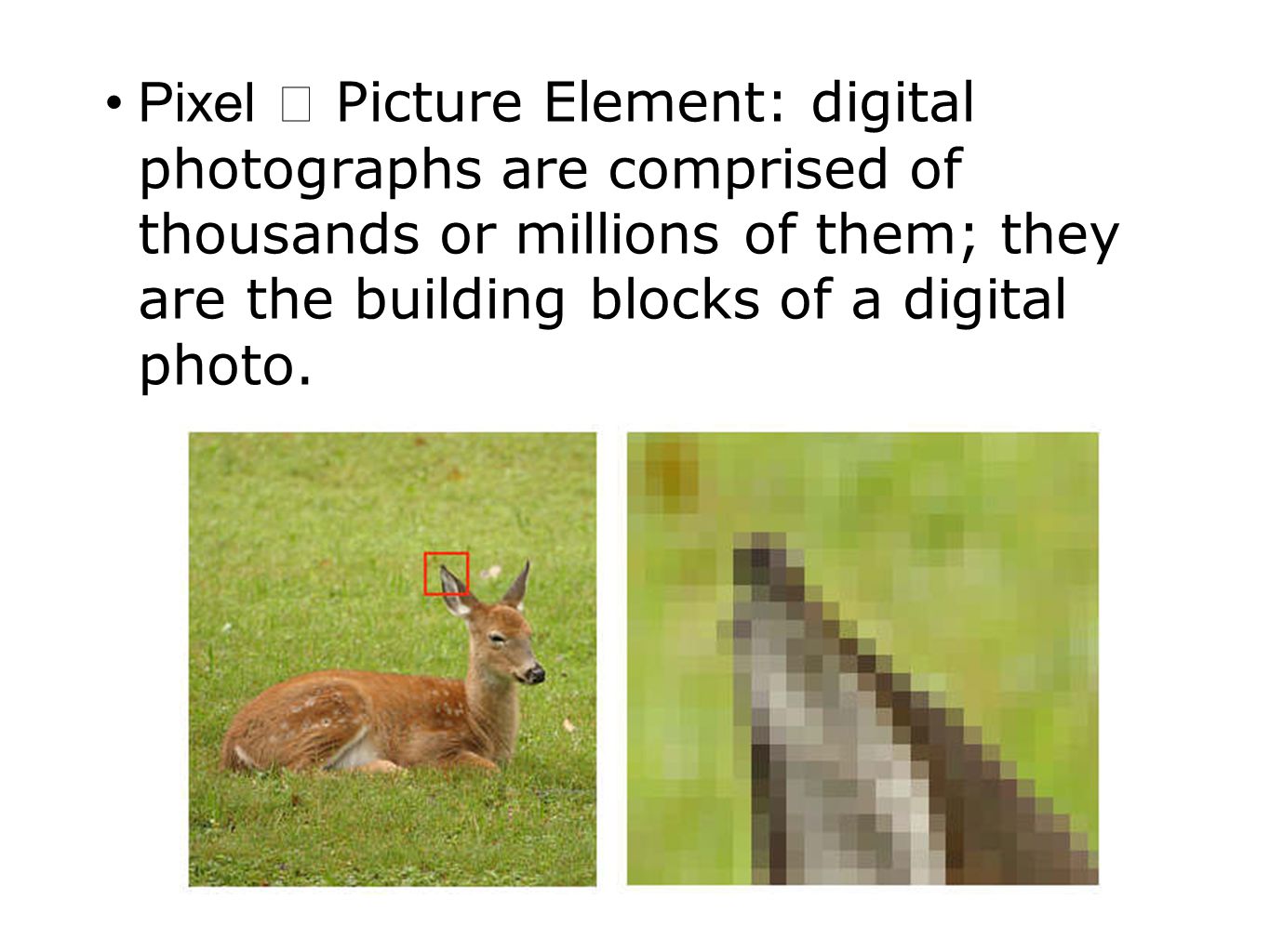 Pixel ﾐ Picture Element: digital photographs are comprised of thousands or millions of them; they are the building blocks of a digital photo.