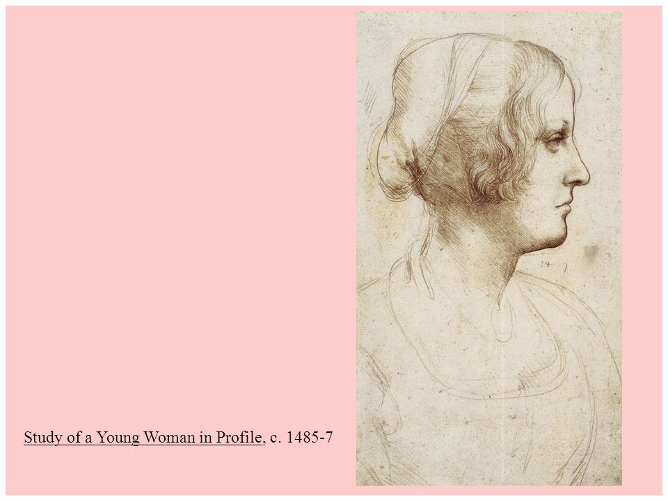 Study of a Young Woman in Profile, c