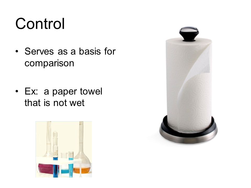 Control Serves as a basis for comparison