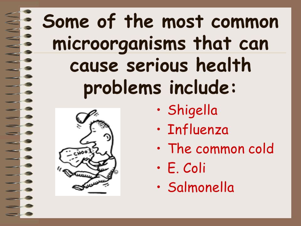 Some of the most common microorganisms that can cause serious health problems include: